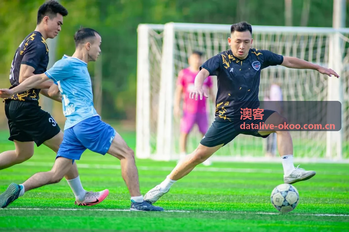 澳客深度解读服务图标